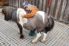 Katharina und das Shetty Funky Katharina und das Shetty Funky