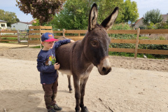 Philipp und Joschi Philipp und Joschi